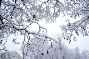 Метеоновости от Фобоса о снегопадах и зиме в декабре meteonovosti ot fobosa o snegopadah i zime v dekabre-lessontime-ru-0