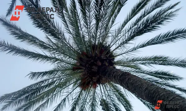 Новые горизонты для Хайнаня в яхтинге, свободной торговле и туризме-0