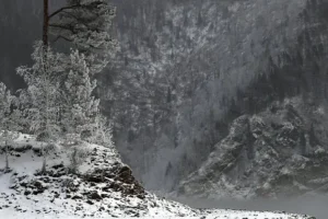 evgenij buyanov rasskazyvaet o poiske turistov na gore oslyanka-lessontime-ru-0