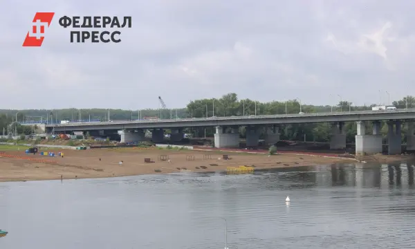 Павел Малков рассказал о сроках завершения моста через Оку в Рязанской области-0