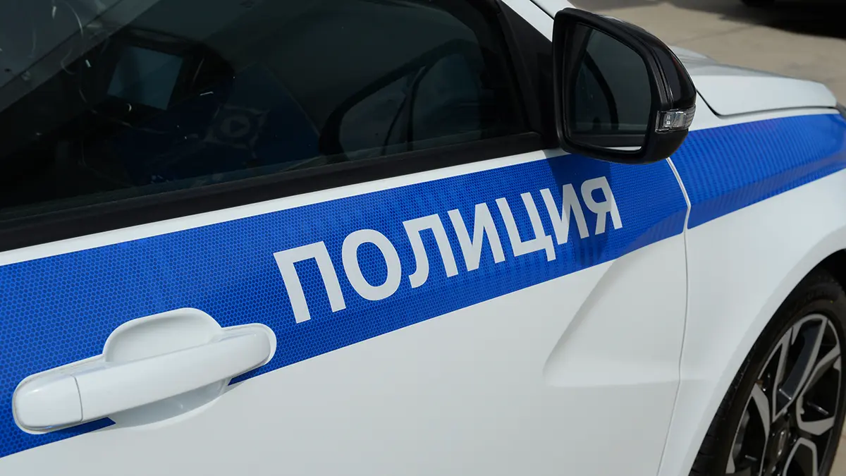 СМИ: Пенсионерка, которую выгнали из дома в Подмосковье, таинственно пропала