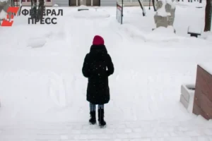 Прогноз погоды в Санкт-Петербурге на Новый год в Северной столице prognoz pogody v sanktpeterburge na novyj god v severnoj stolicze-lessontime-ru-0