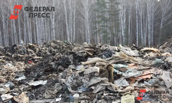 Росприроднадзор взыскал 4,7 млн с оператора Ситиматик за Городецкий полигон-0