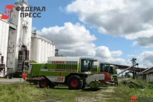 Сасовская межрайонная прокуратура усиливает контроль хранения зерна в Рязанской области sasovskaya mezhrajonnaya prokuratura usilivaet kontrol hraneniya zerna v ryazanskoj oblasti-lessontime-ru-0