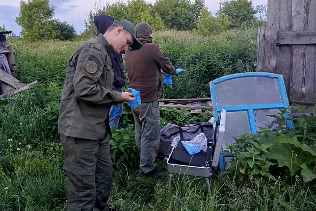 Вводная картинка