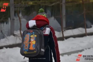 В институте детского омбудсмена Тюменской области начался новый этап v institute detskogo ombudsmena tyumenskoj oblasti nachalsya novyj etap-lessontime-ru-0