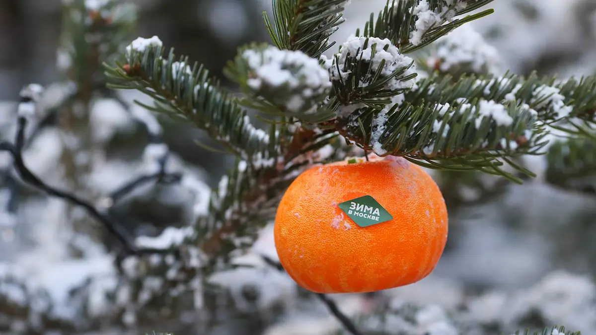 Франчайзинговые и сетевые организации участвуют в проекте «Зима в Москве»