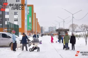 Владимир Путин поддержал запуск эксперимента Социального фонда России в Югре и на Ямале vladimir putin podderzhal zapusk eksperimenta soczialnogo fonda rossii v yugre i na yamale-lessontime-ru-0