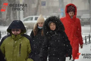 Во Владивостоке снегопад создает трудности для дорожных служб vo vladivostoke snegopad sozdaet trudnosti dlya dorozhnyh sluzhb-lessontime-ru-0