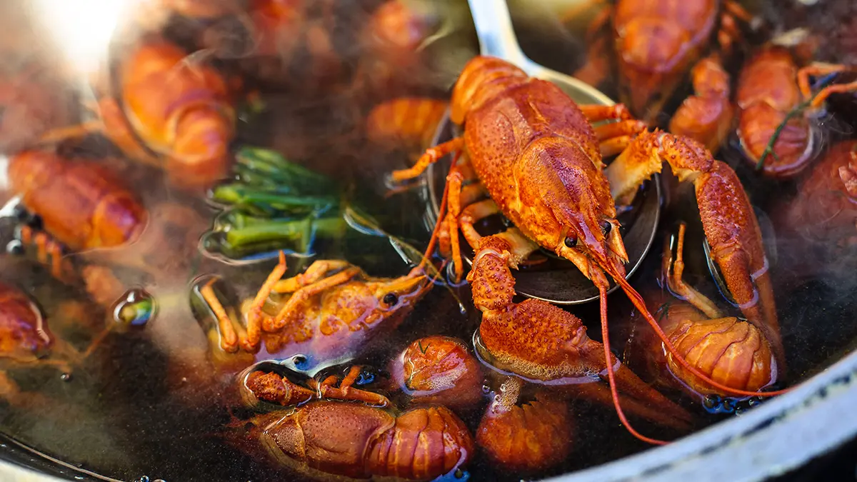 Курьер из Волгограда украл четыре килограмма раков из заказа, но они пропали