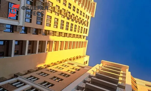 Жительница Всеволожска обратилась к Путину о застройщике и решении проблемы-0