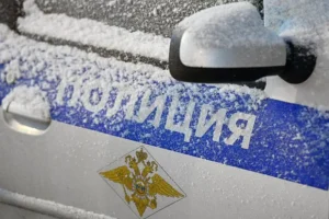 В Екатеринбурге полиция и ЛизаАлерт вместе ищут пропавшую пенсионерку v ekaterinburge policziya i lizaalert vmeste ishhut propavshuyu pensionerku-lessontime-ru-0