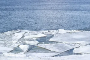 МФТИ и Институт океанологии РАН внедряют инновации для Арктики mfti i institut okeanologii ran vnedryayut innovaczii dlya arktiki-lessontime-ru-0