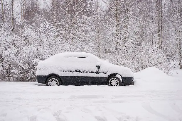 Вводная картинка