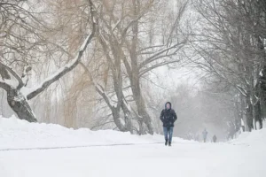 Москва и Центр России пережили рекордные снегопады moskva i czentr rossii perezhili rekordnye snegopady-lessontime-ru-0