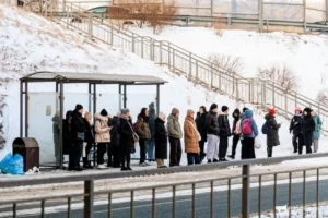 Дмитрий Свитайло рассказал о поддержке транспорта Владивостока dmitrij svitajlo rasskazal o podderzhke transporta vladivostoka-lessontime-ru-0