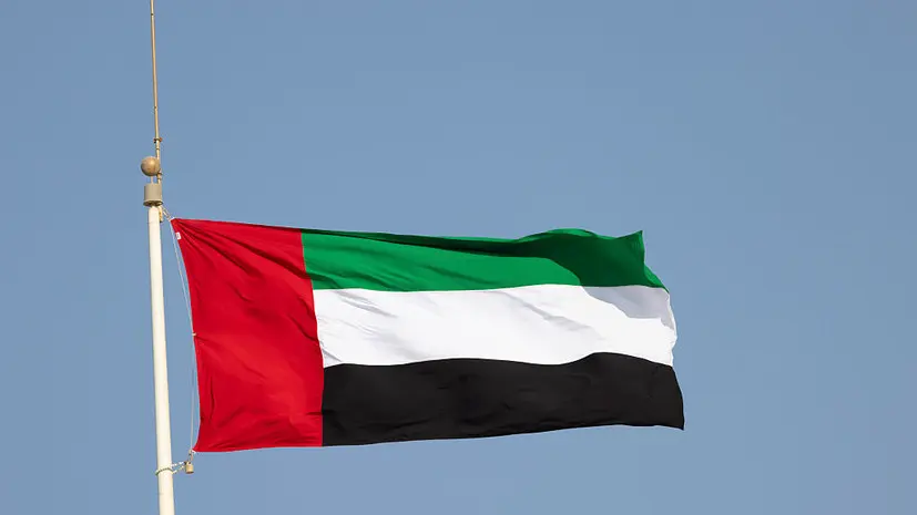 Все военнослужащие ОАЭ покинули территорию Йемена