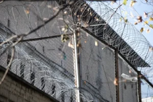 Олег Лобков и Зайцева из Егорьевска рассказали о ходе дела oleg lobkov i zajczeva iz egorevska rasskazali o hode dela-lessontime-ru-0