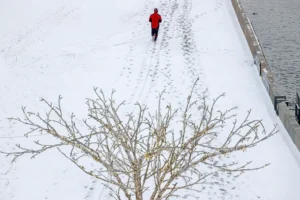 Погодные наблюдения на ВДНХ фиксируют рекордные холода в Центральной России pogodnye nablyudeniya na vdnh fiksiruyut rekordnye holoda v czentralnoj rossii-lessontime-ru-0