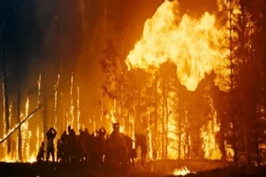 ПНИПУ изобрел вечный барьер из содового шлама против пожаров pnipu izobrel vechnyj barer iz sodovogo shlama protiv pozharov-lessontime-ru-0