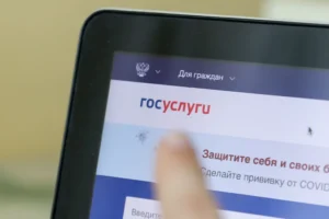 Создание нового реестра поможет упростить проверку неплательщиков алиментов sozdanie novogo reestra pomozhet uprostit proverku neplatelshhikov alimentov-lessontime-ru-0