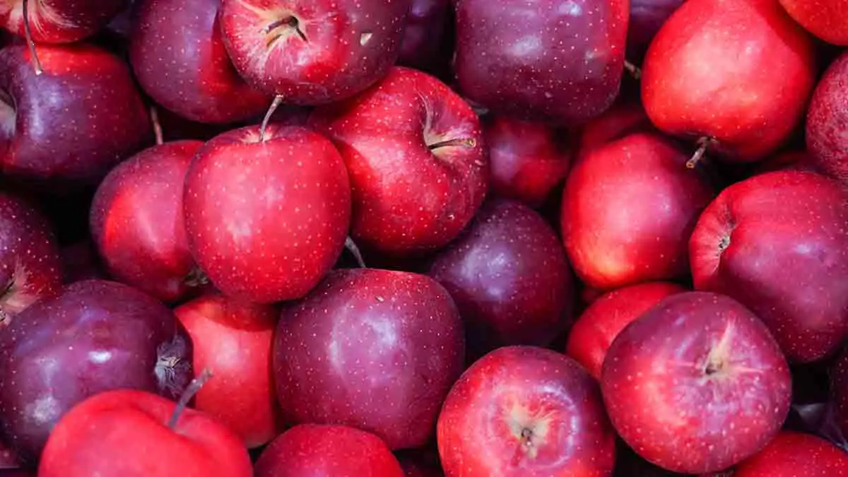 11 января: какой сегодня праздник отмечают