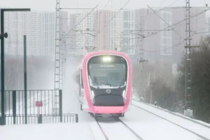 Зимняя сказка с рекордными снегопадами в Москве и Подмосковье zimnyaya skazka s rekordnymi snegopadami v moskve i podmoskove-lessontime-ru-0