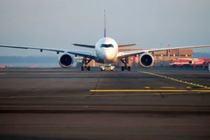 Картик пытался провезти обезьян в багаже на рейсе Thai Airlines kartik pytalsya provezti obezyan v bagazhe na rejse -lessontime-ru-0