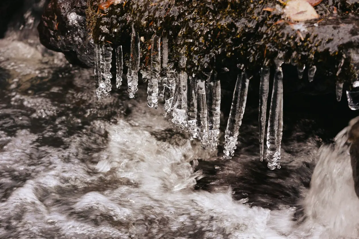 Фото: primamedia.ru