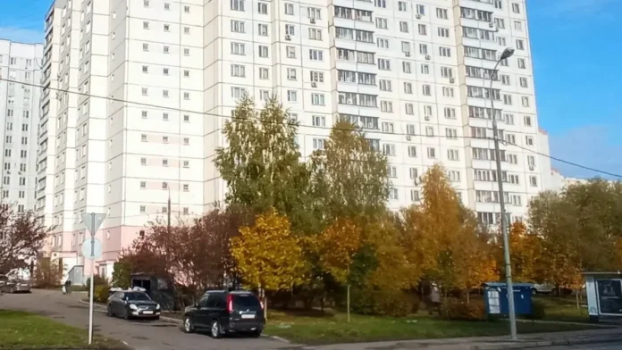 gorodskie aukcziony v shherbinke otkryvayut perspektivy dlya biznesa-lessontime-ru-0