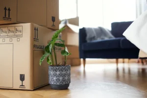 Mr.Doors и Кирилл Герасимов: покупателям мебели теперь важнее качество i kirill gerasimov pokupatelyam mebeli teper vazhnee kachestvo-lessontime-ru-0