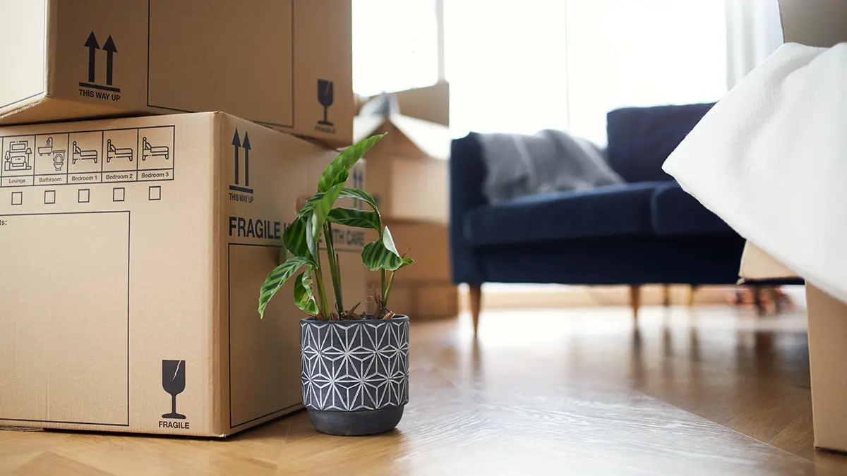 Опрос: Качество материалов является основным фактором при выборе мебели для россиян