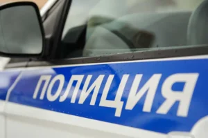 Лия Галеева из Оренбургской области защитила детсад от нападавшего liya galeeva iz orenburgskoj oblasti zashhitila detsad ot napadavshego-lessontime-ru-0