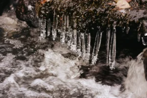 Борис Кубай рассказал, как весна приходит в Приморье и Владивосток boris kubaj rasskazal kak vesna prihodit v primore i vladivostok-lessontime-ru-0