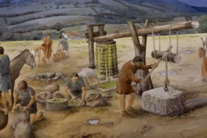 Секреты древнеримского оливкового масла раскрыты учеными sekrety drevnerimskogo olivkovogo masla raskryty uchenymi-lessontime-ru-0