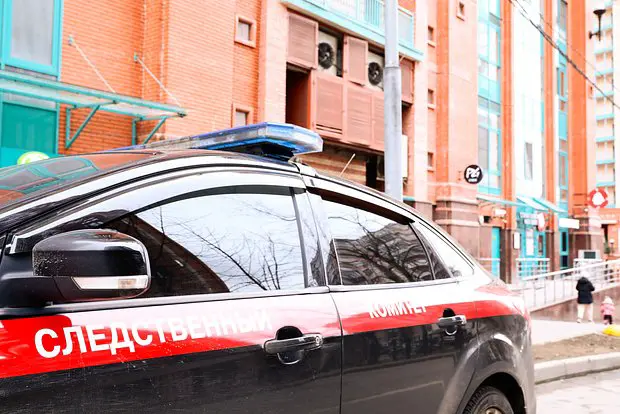 Вводная картинка