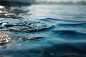 ФИЦ Биотехнологии РАН и РНФ открывают новые горизонты в очистке воды ficz biotehnologii ran i rnf otkryvayut novye gorizonty v ochistke vody-lessontime-ru-0