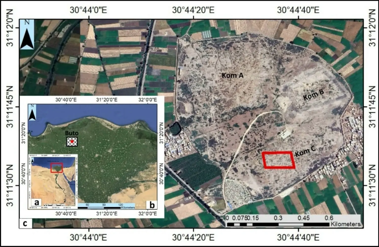 Sentinel-1 и ERT раскрыли тайны XXVI династии в Дельте Нила-0