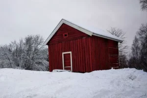 Верховный суд РФ слушает иск семьи из СПб к Госсовету Финляндии verhovnyj sud rf slushaet isk semi iz spb k gossovetu finlyandii-lessontime-ru-0