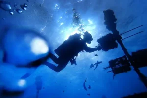 lonni li higgins i proisshestvie v islamorade rol beregovoj ohrany-lessontime-ru-0