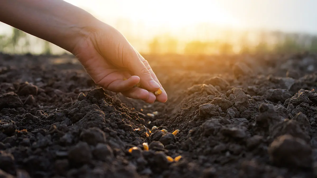 Когда начинать дачные работы весной 2026 года