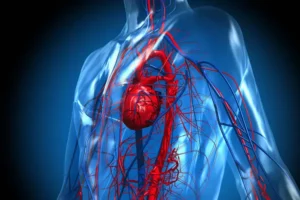 Елена Голикова объяснила связь синдрома апноэ и вторичной гипертонии elena golikova obyasnila svyaz sindroma apnoe i vtorichnoj gipertonii-lessontime-ru-0