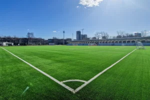 fond pod flagom dobra i czentr gurczkoj obedinyayut detej-lessontime-ru-0