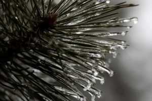 Гидрометцентр Удмуртии: в марте регион ждет теплая и ясная погода gidrometczentr udmurtii v marte region zhdet teplaya i yasnaya pogoda-lessontime-ru-0