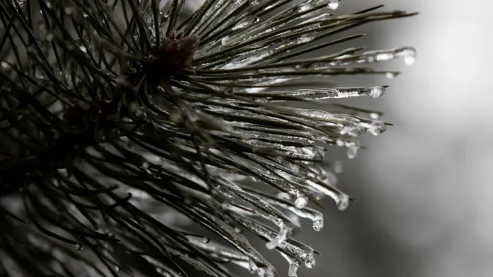 gidrometczentr udmurtii v marte region zhdet teplaya i yasnaya pogoda-lessontime-ru-0