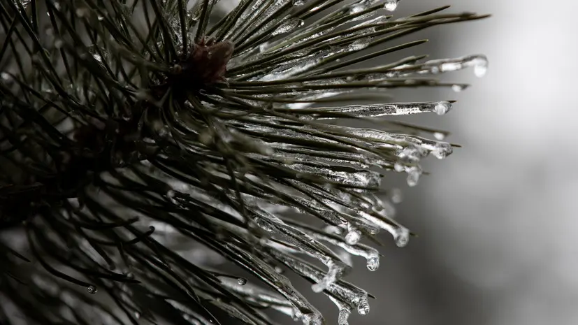 В Удмуртии ожидаются ночные морозы до -7 °С в выходные