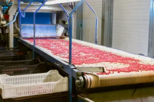 Карелия и Москва растут производство пюре благодаря Сергею Собянину kareliya i moskva rastut proizvodstvo pyure blagodarya sergeyu sobyaninu-lessontime-ru-0