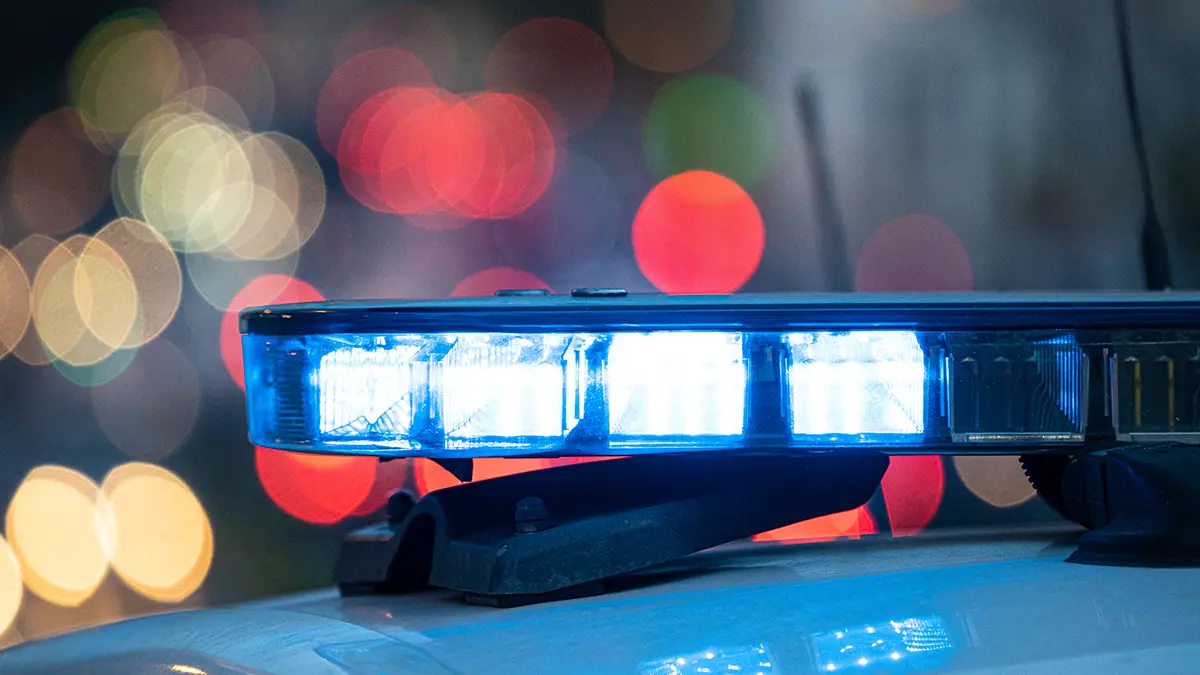 В Карелии нашли пропавшего 11-летнего мальчика из Петрозаводска