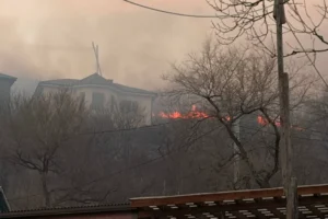 Пожар на сопке во Владивостоке успешно ликвидирован спасателями pozhar na sopke vo vladivostoke uspeshno likvidirovan spasatelyami-lessontime-ru-0