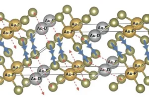 Ученые России и Германии разгадали тайны золота каливерита uchenye rossii i germanii razgadali tajny zolota kaliverita-lessontime-ru-0